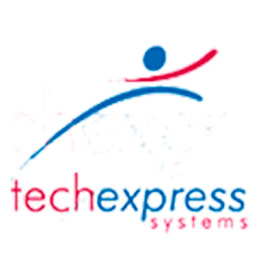 About Tech Express Systems Inc Medium