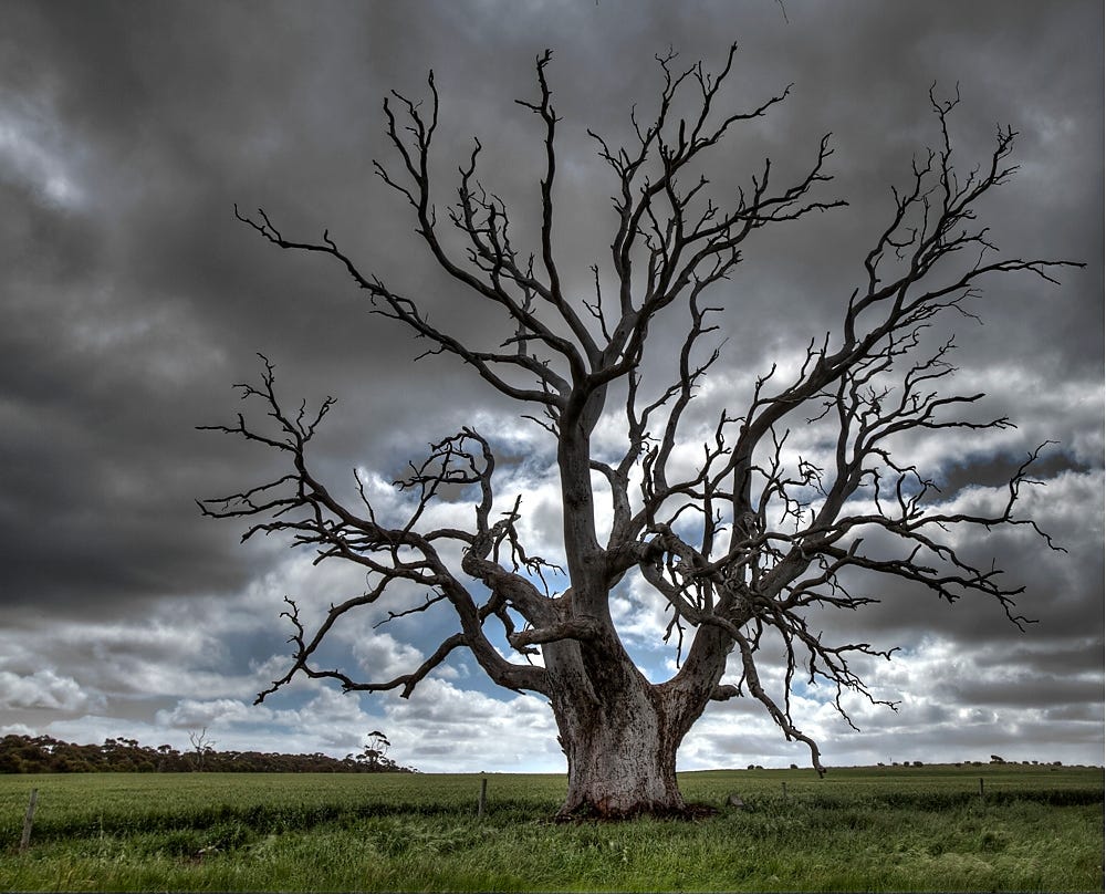 Missing roots