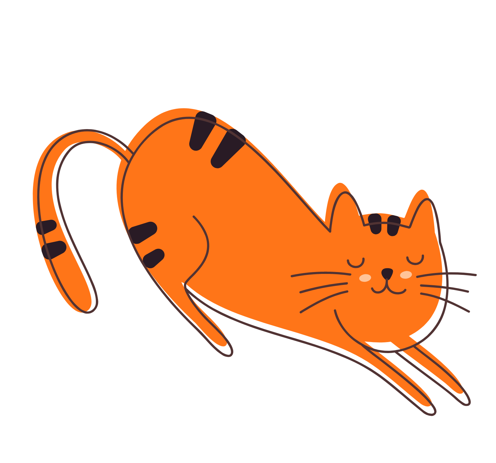 feline-marvels-medium