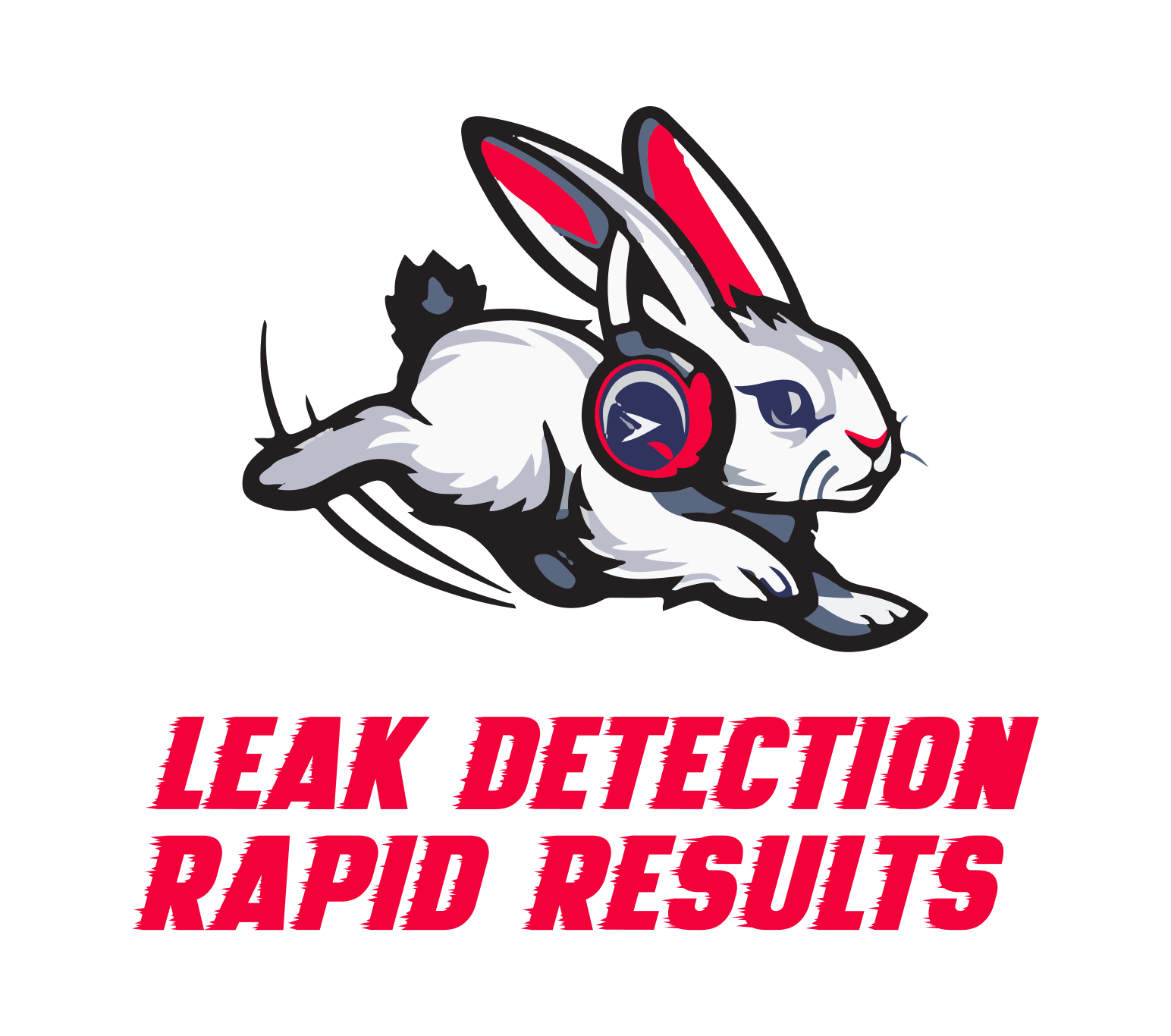 Leak Detection Rapid Results – Medium