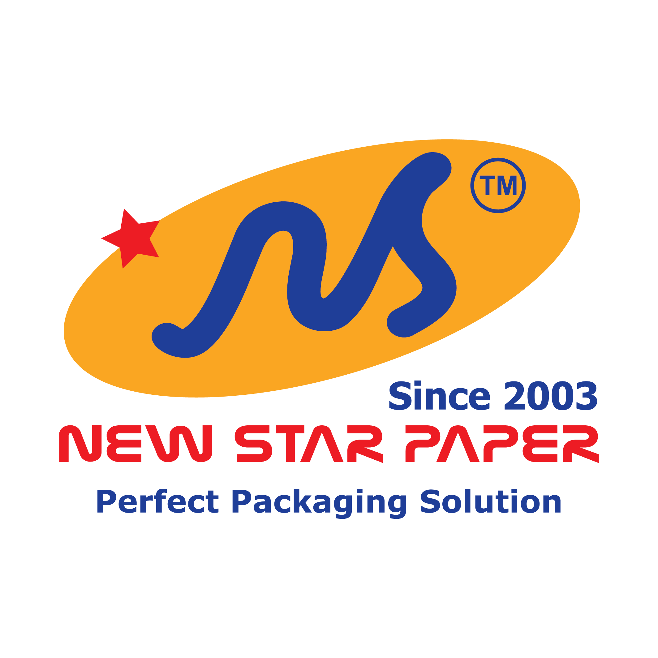 New Star Paper Medium