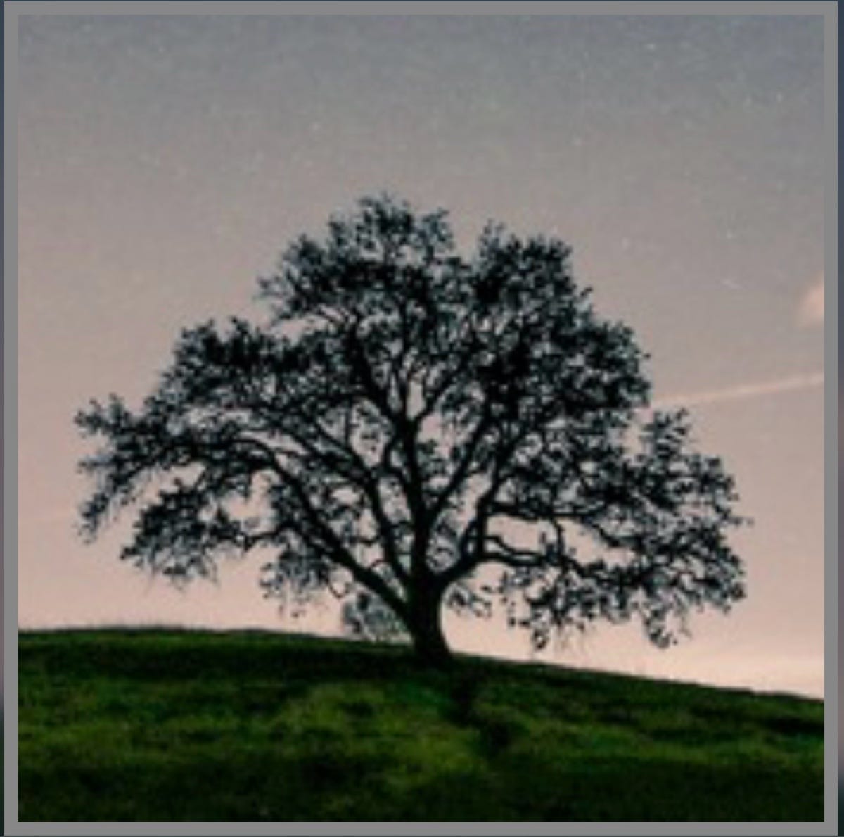 Inside Thoughts Medium