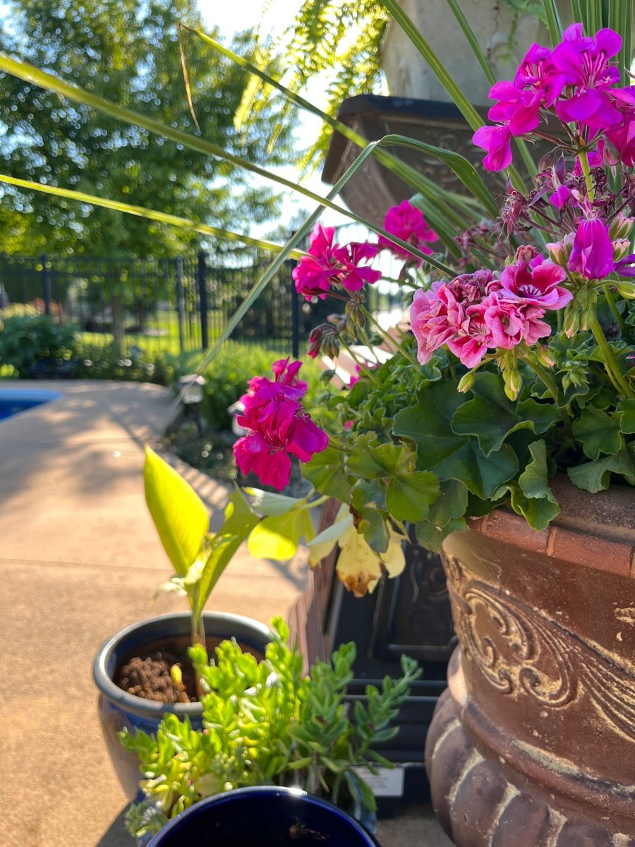 Marium Umm Hafsa Medium marium-umm-hafsa-medium