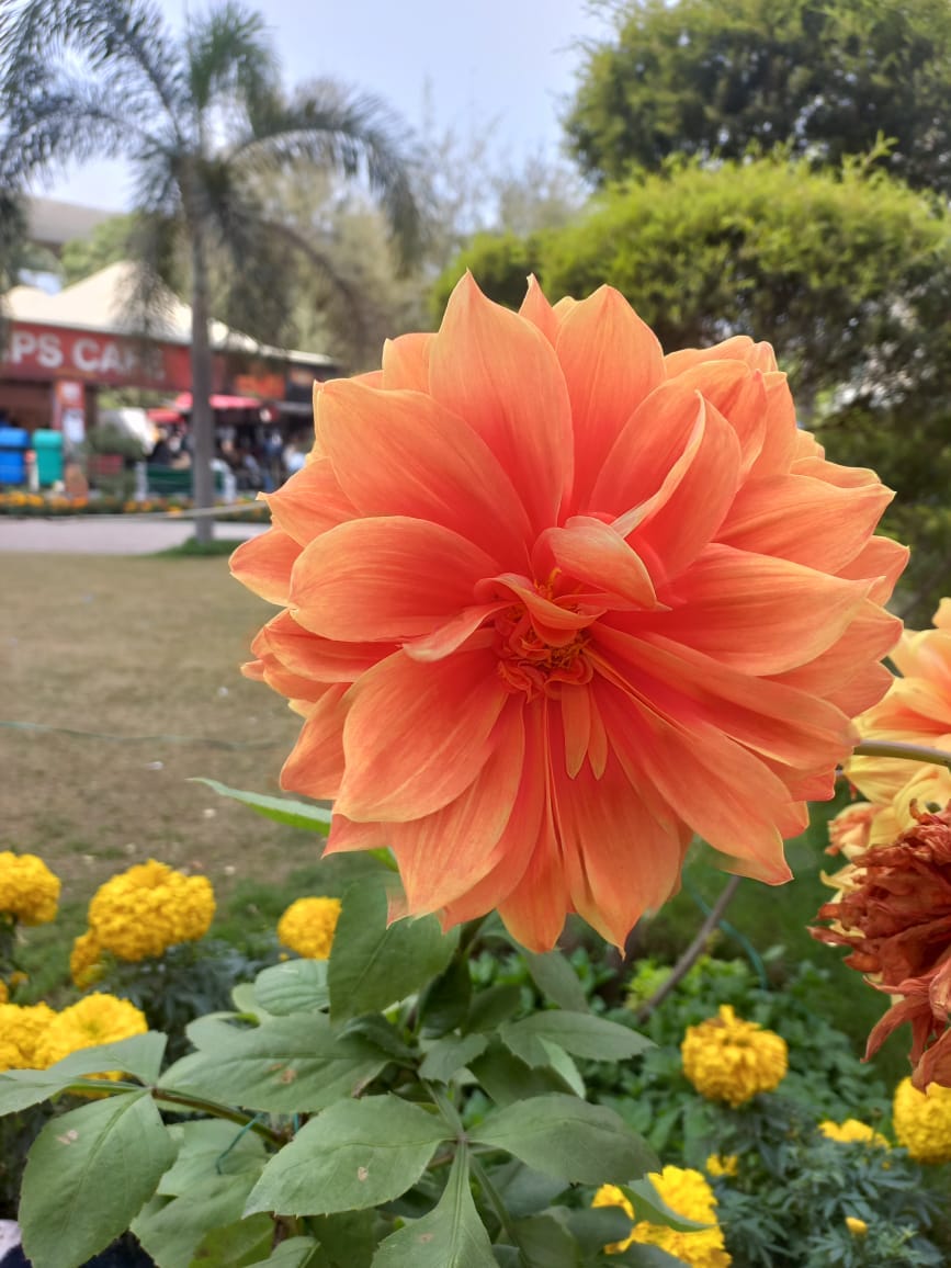 Taranpreet Kaur Medium taranpreet-kaur-medium