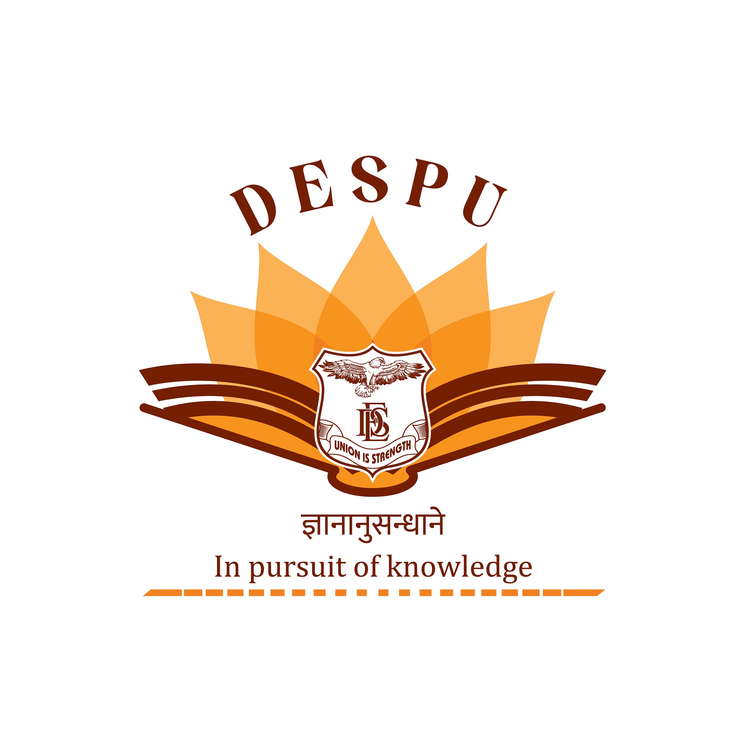 des-pune-university-medium