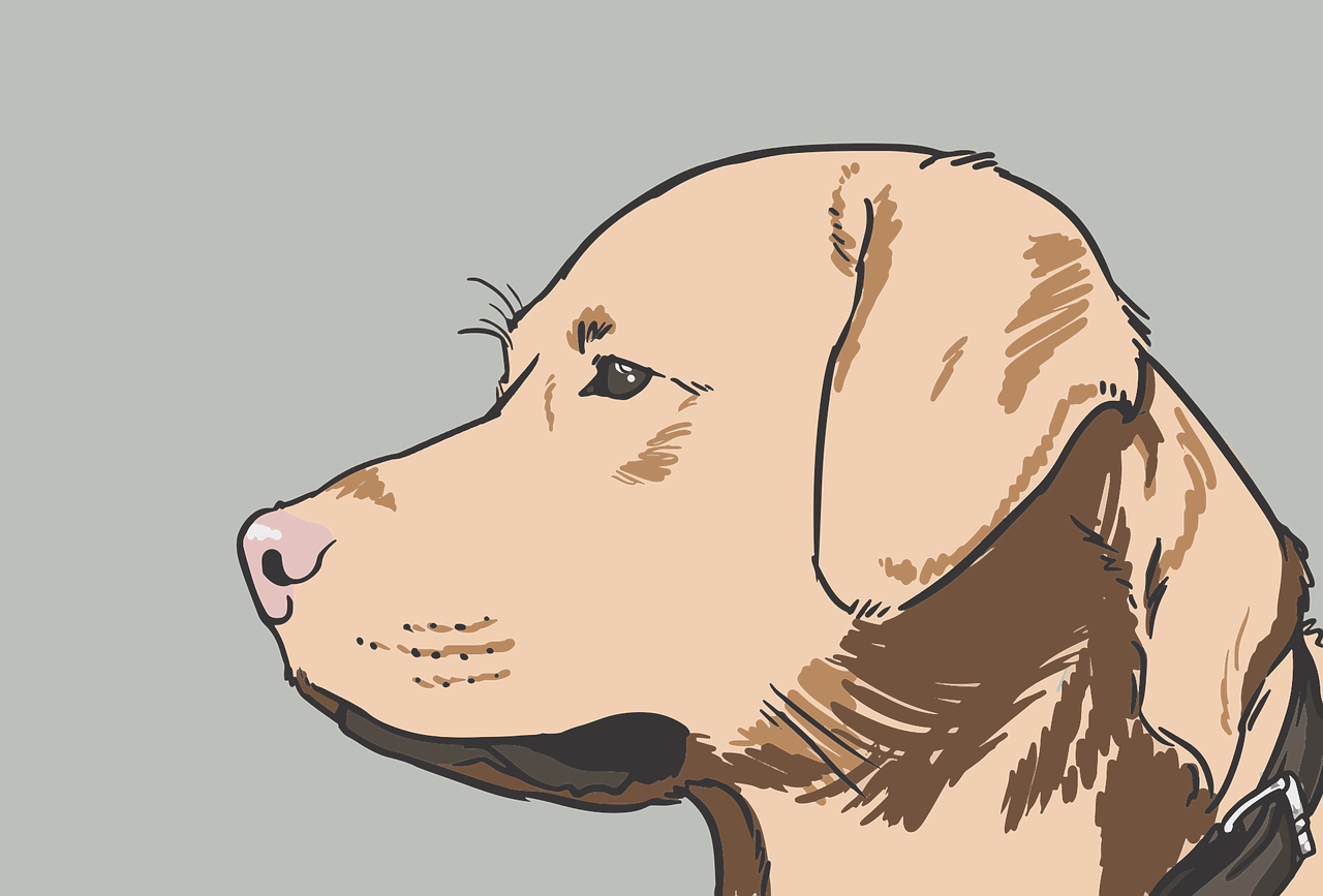 What To Get Dog Daycare Workers For Christmas What To Get Dog Daycare Workers For Christmas