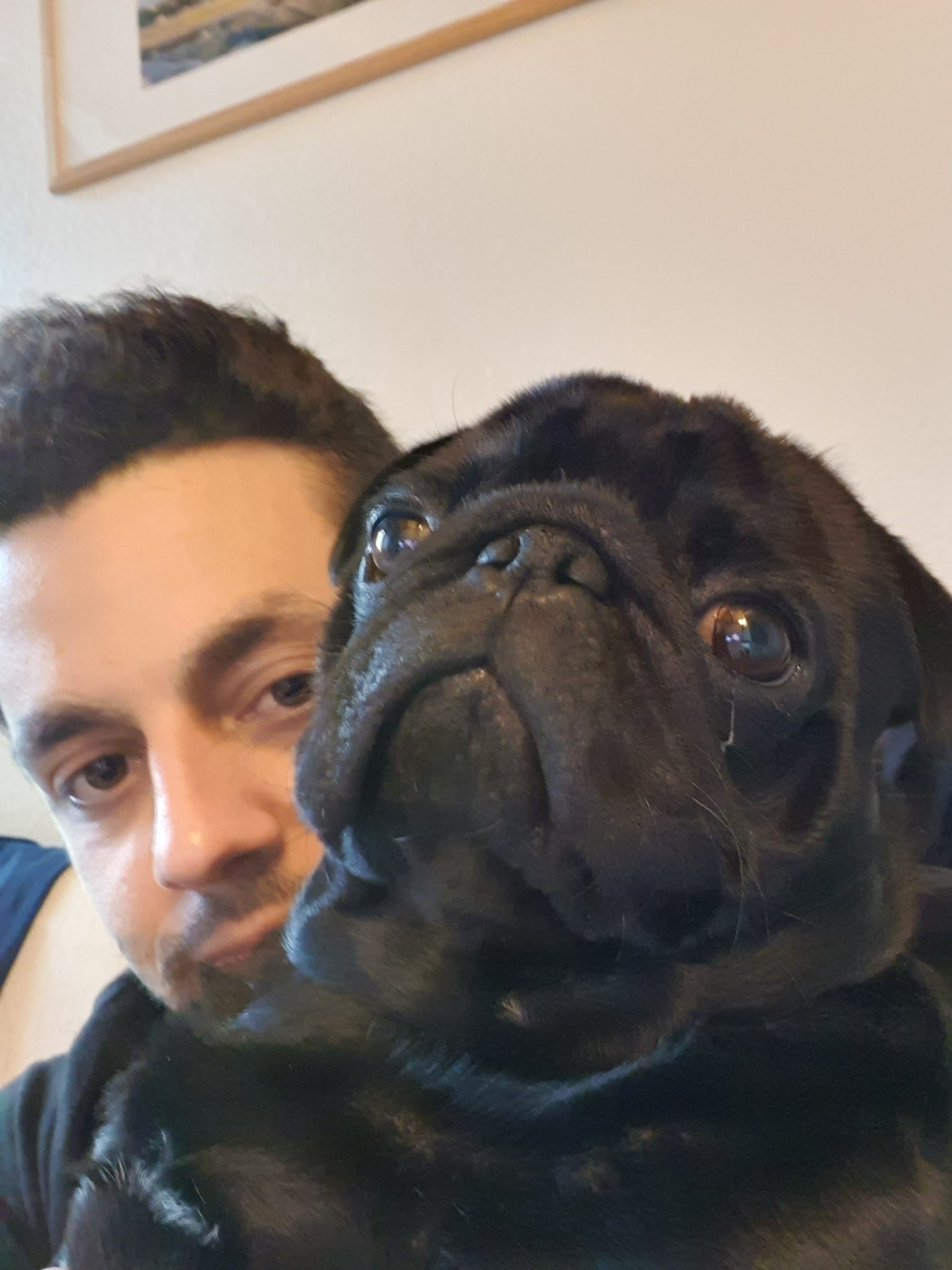 Luis Fernando PÉREZ ARMAS, Ph.D. Medium