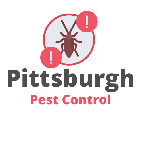 Pittsburgh Pest Service – Medium