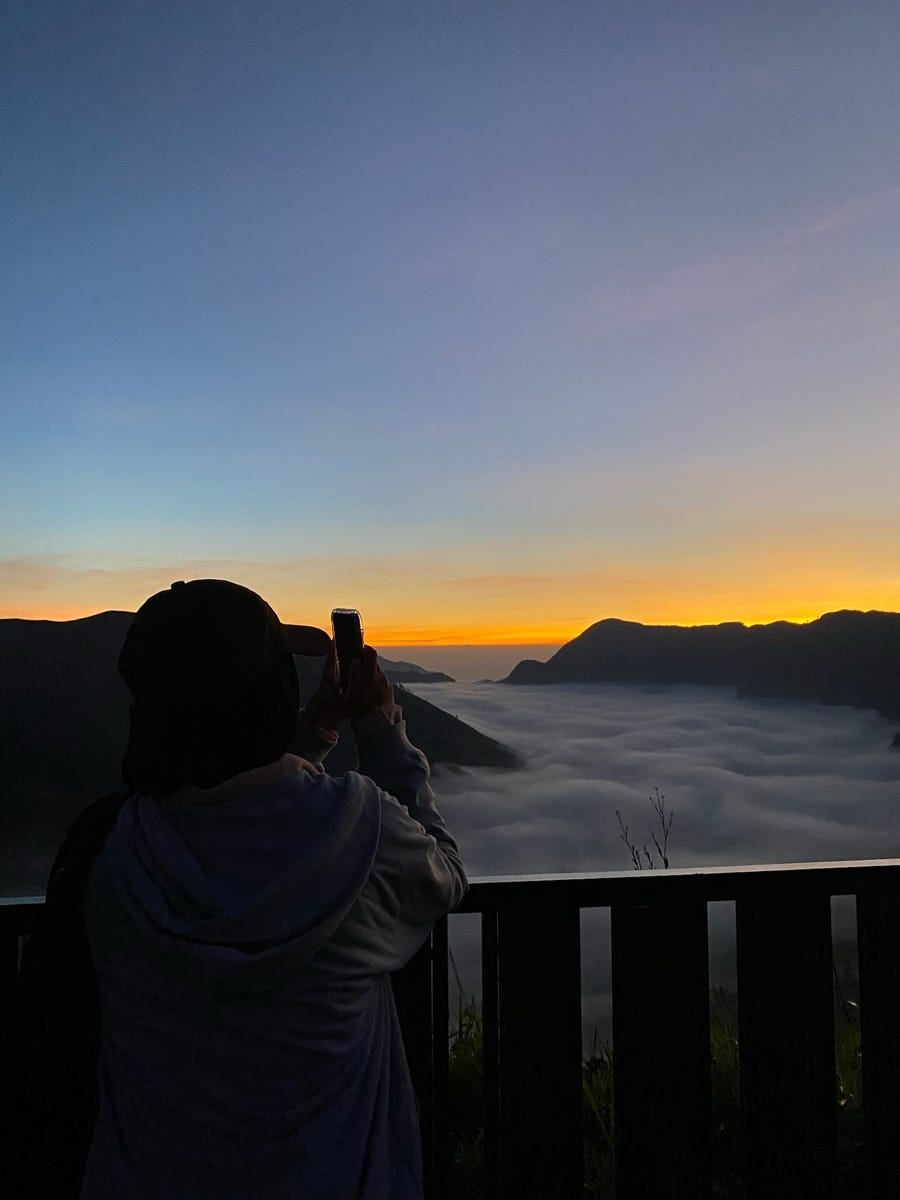 Lettre M En Bois Médium 15 Cm - Aladine Aladine Chez Rougier & Plé