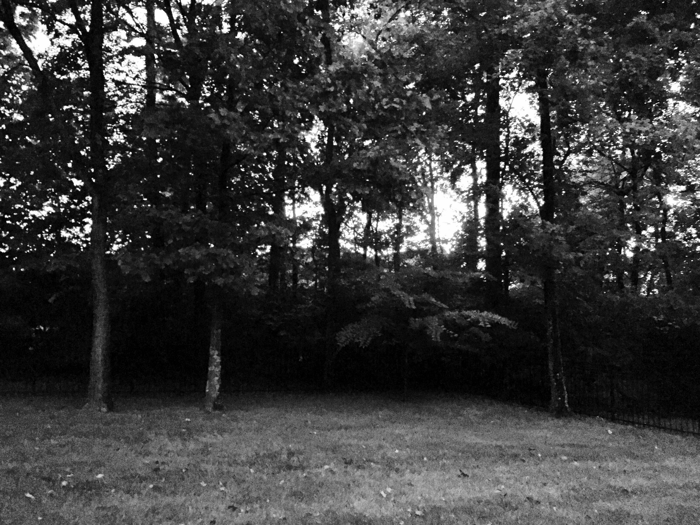 I M STILL HERE 4 i-m-still-here-4