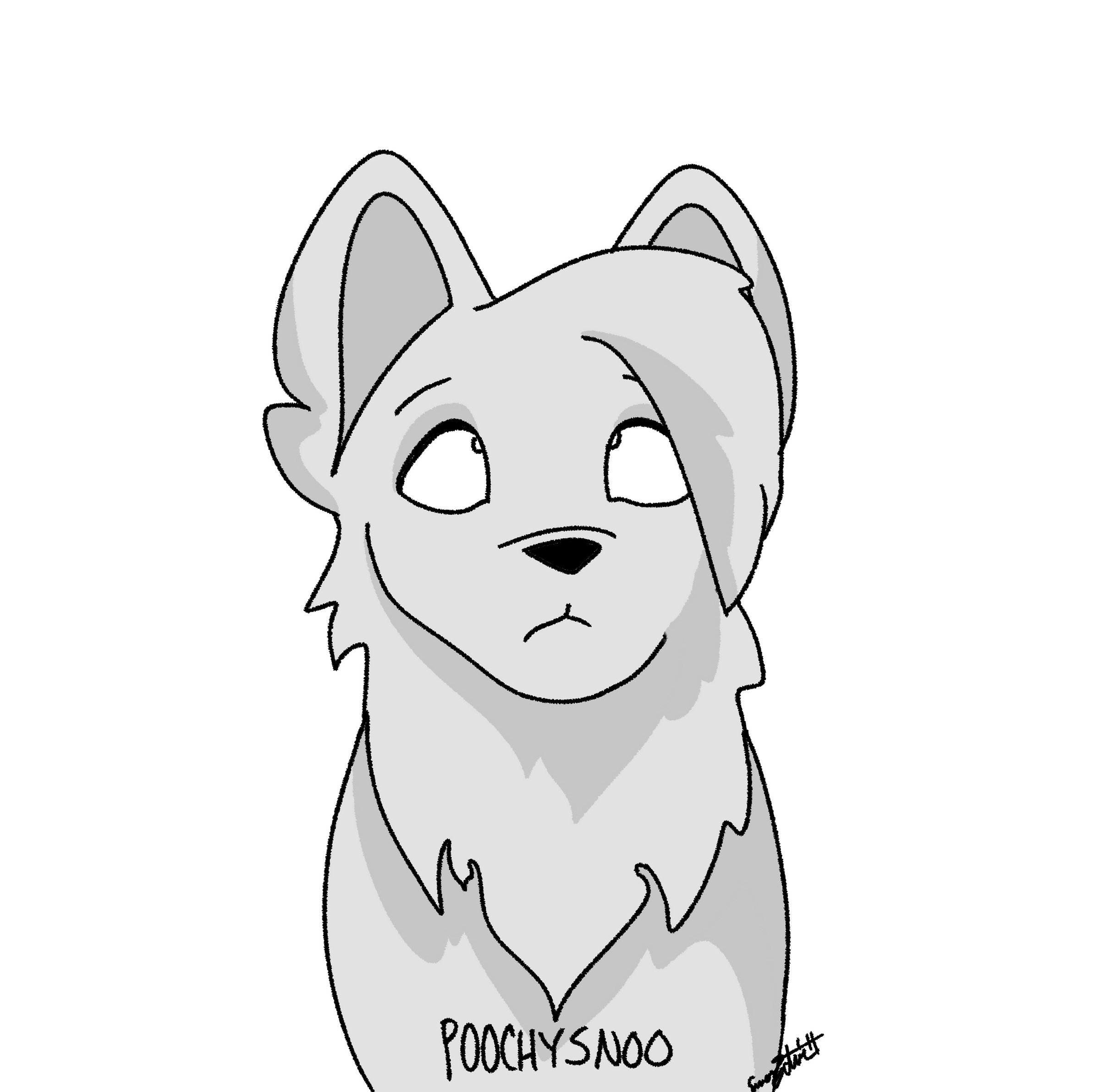 Poochysnoo Medium poochysnoo-medium