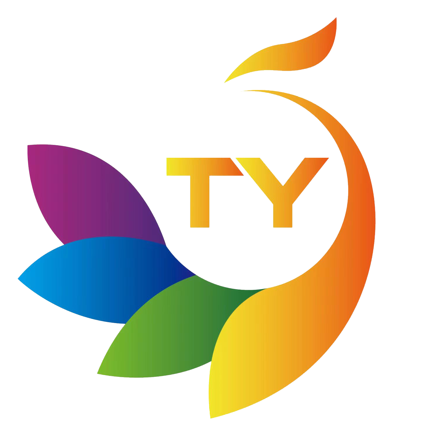 TANYU Wall Printer Medium Tanyu wall printer medium