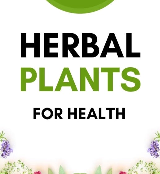 Herbal plants medium