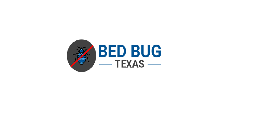 bed-bug-texas-medium