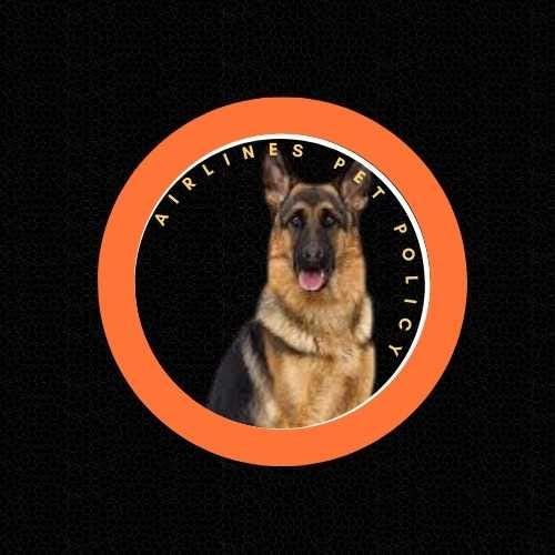 airlines-pet-travel-medium
