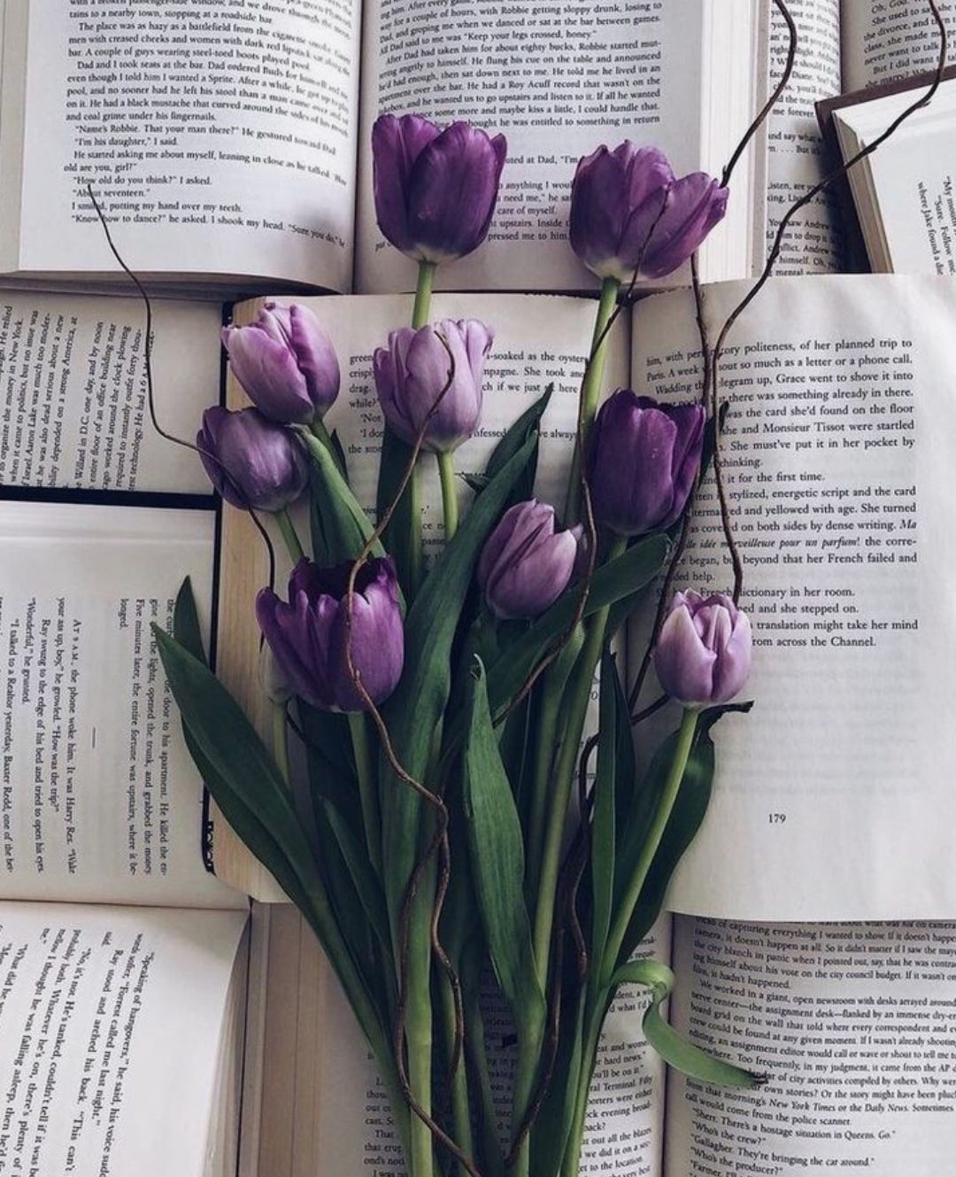 Zunaira Medium zunaira-medium