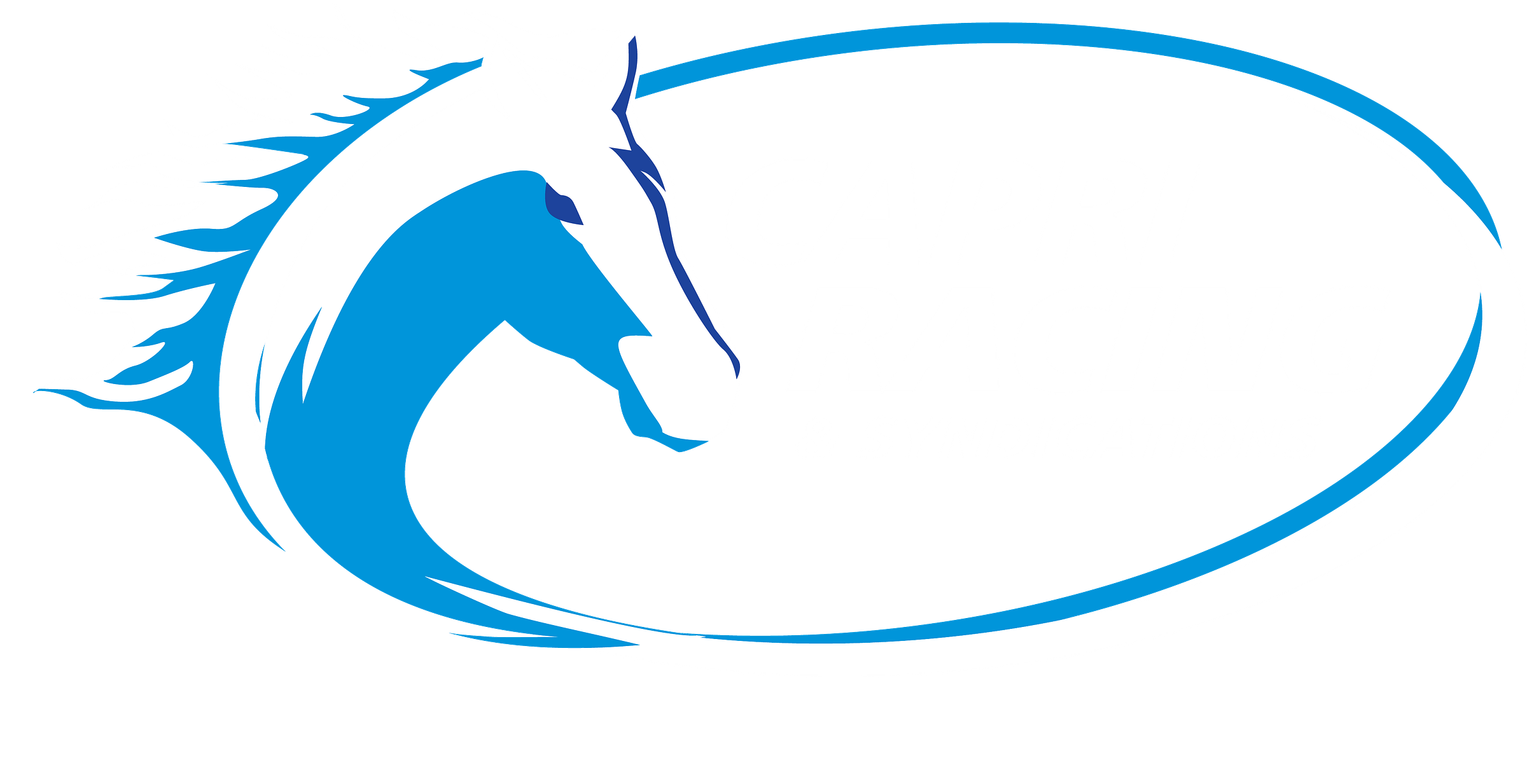 Capri Racing and Syndications - Buy & Syndicates T – Medium