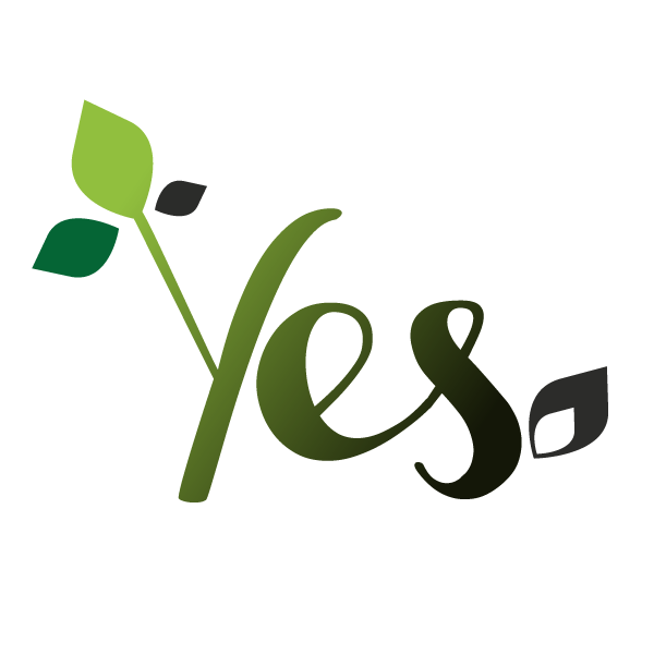 Young Earth Sanctuary Medium
