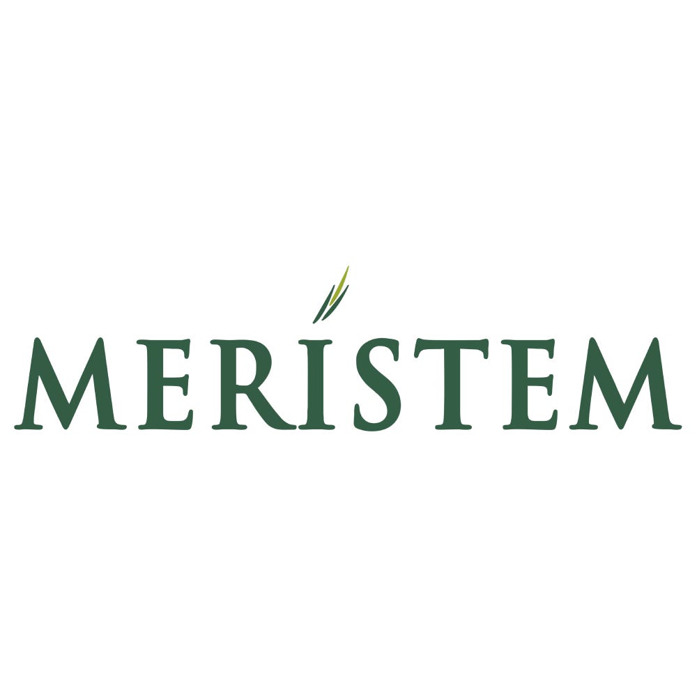 Meristem – Medium