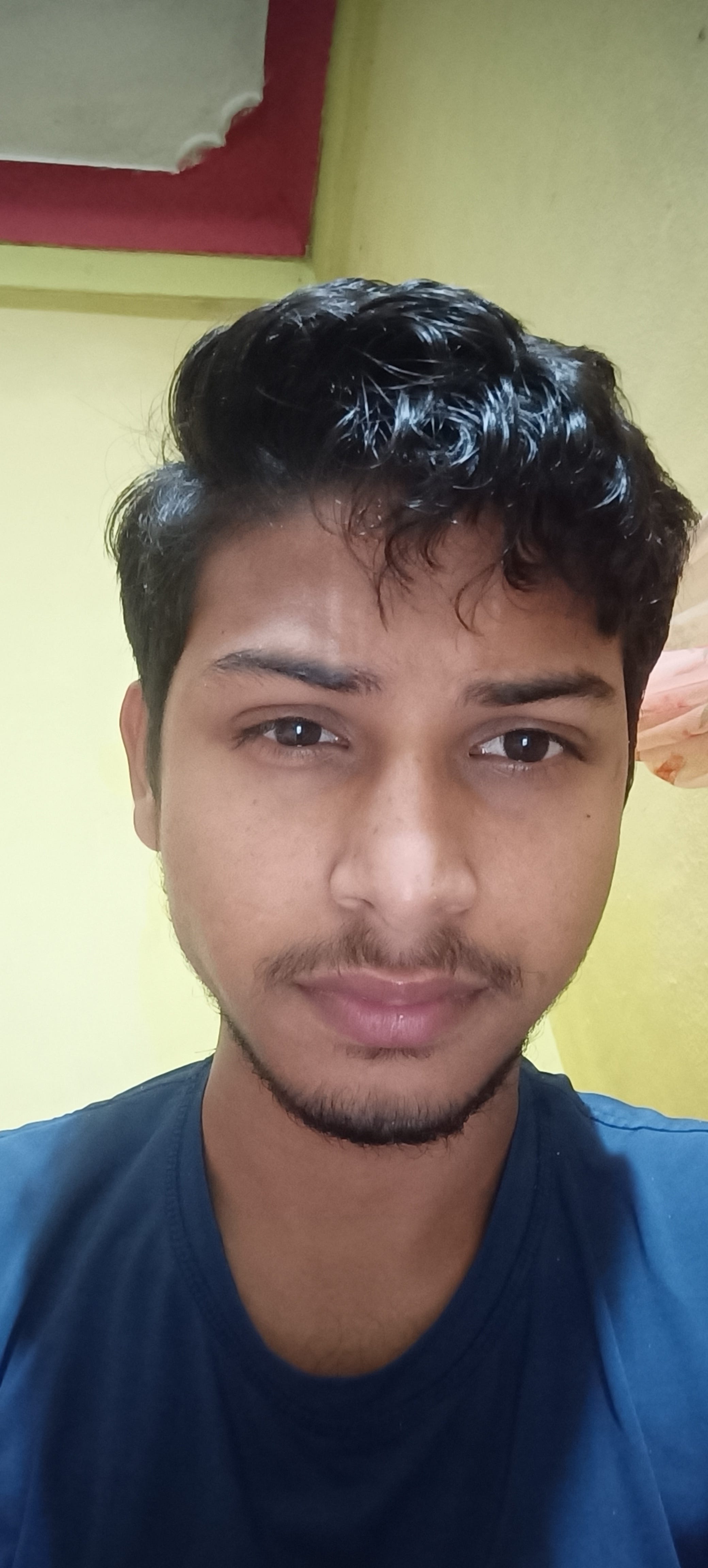 nabojuti-seal-medium