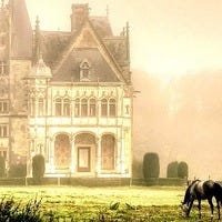 Vanessa Marie – Medium