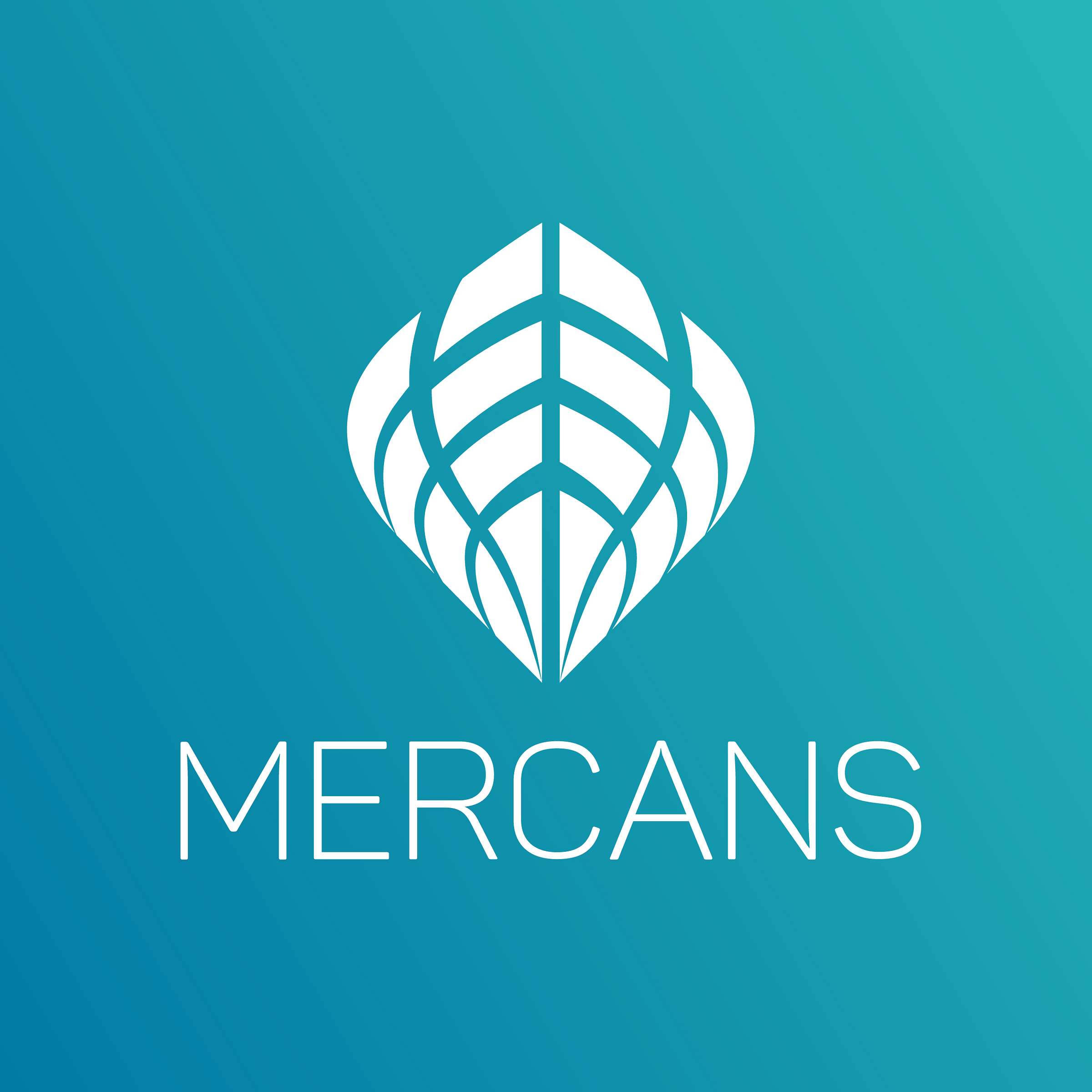 Mercans Global – Medium