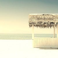Mark McKinnon – Medium