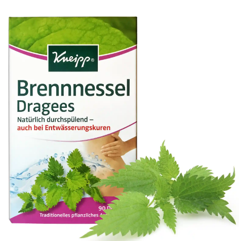 Brennnessel Kapseln Medium