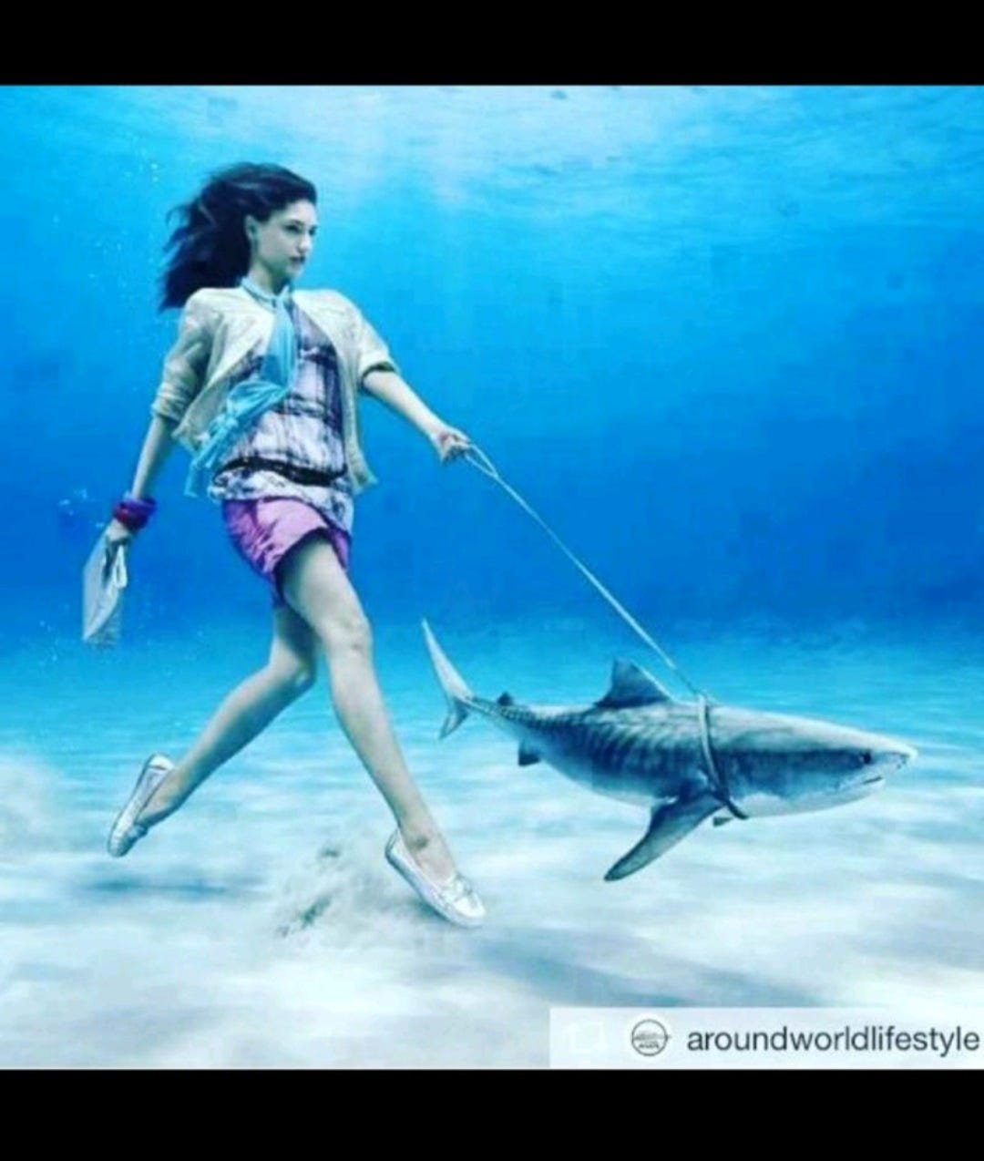 Damla Erkiner Medium Damla erkiner medium