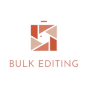 Bulk Editing LLC – Medium