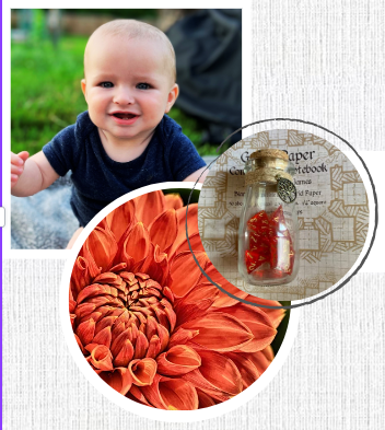 About – Dice, Diapers & Dahlias: A Mom's Adventure – Medium