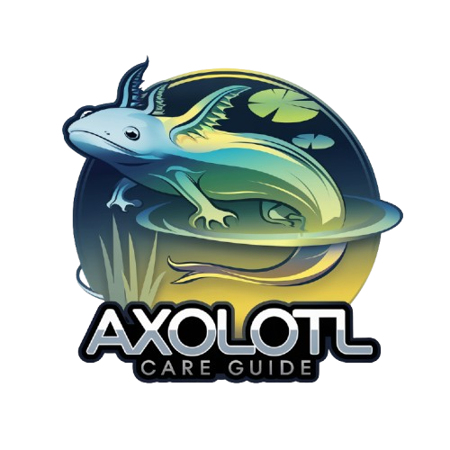 axolotlcareguide-medium
