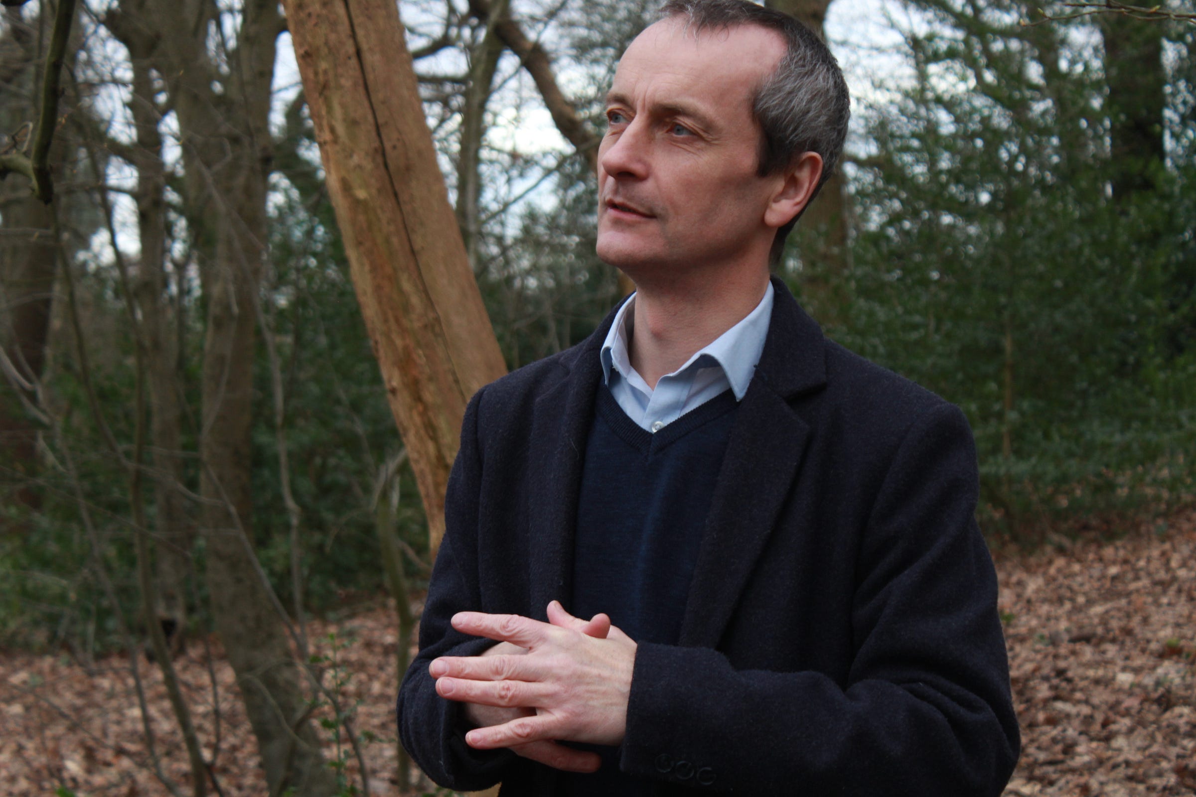 About David Naylor Medium