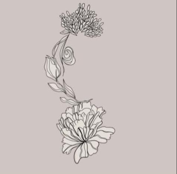 flora-gardens-design-medium