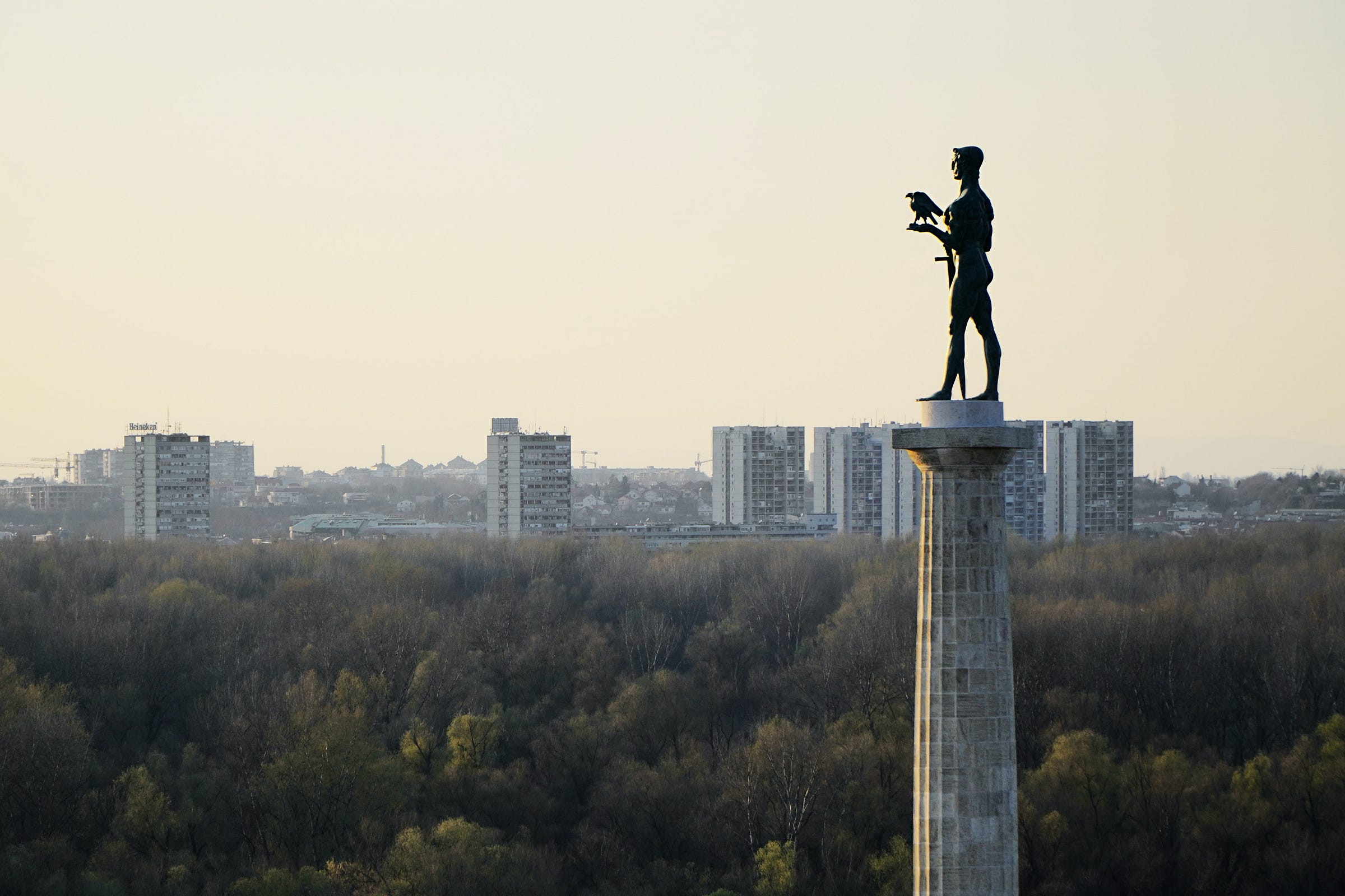 predrag-carapic-medium