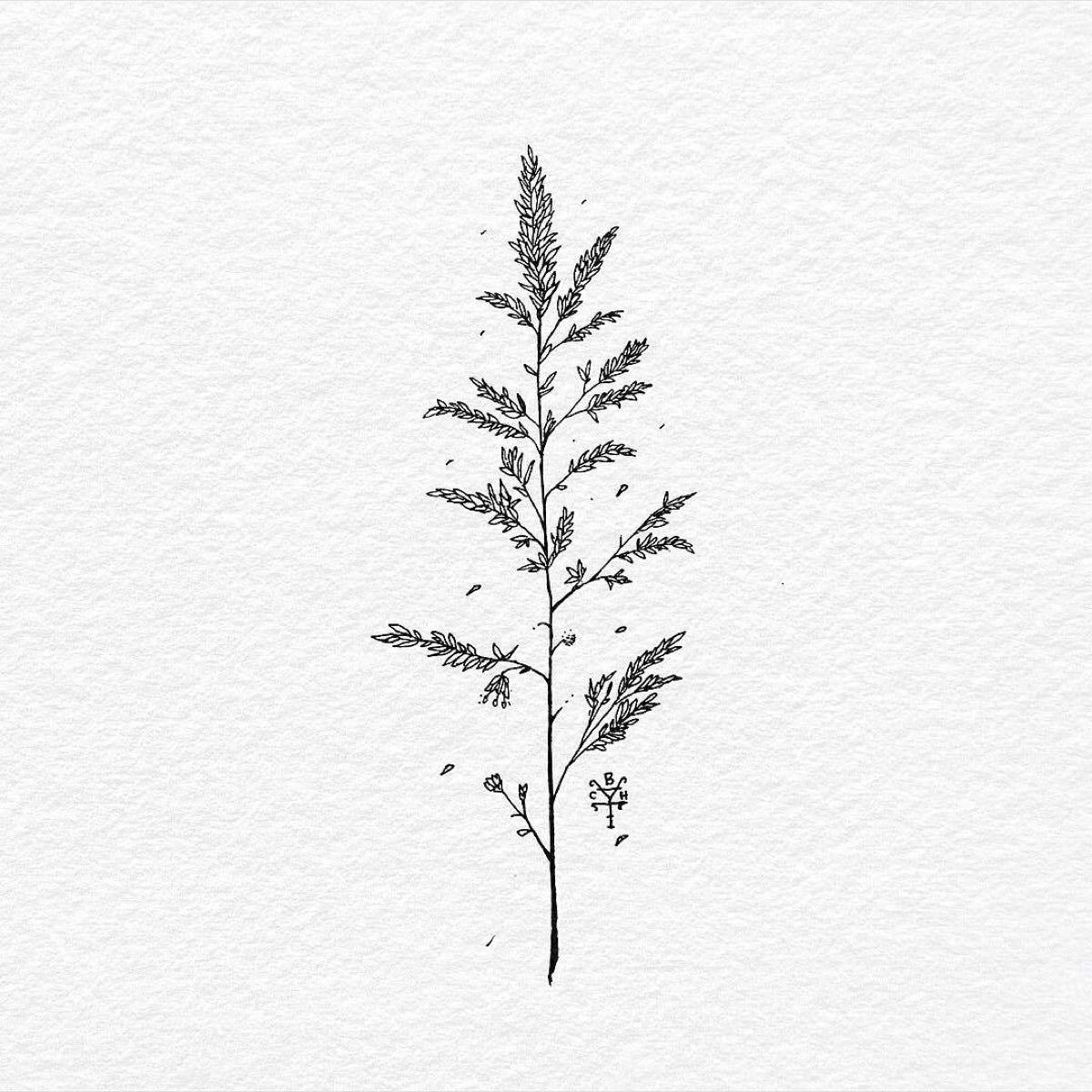 anna-maria-medium