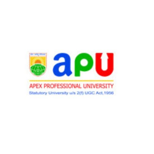 About – Apex Professional University (APU) – Medium