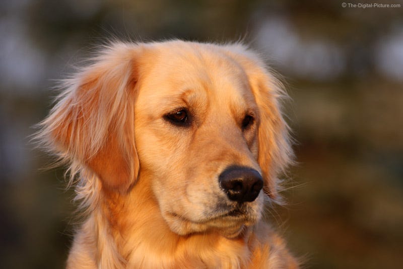 Lily Hayes – Medium