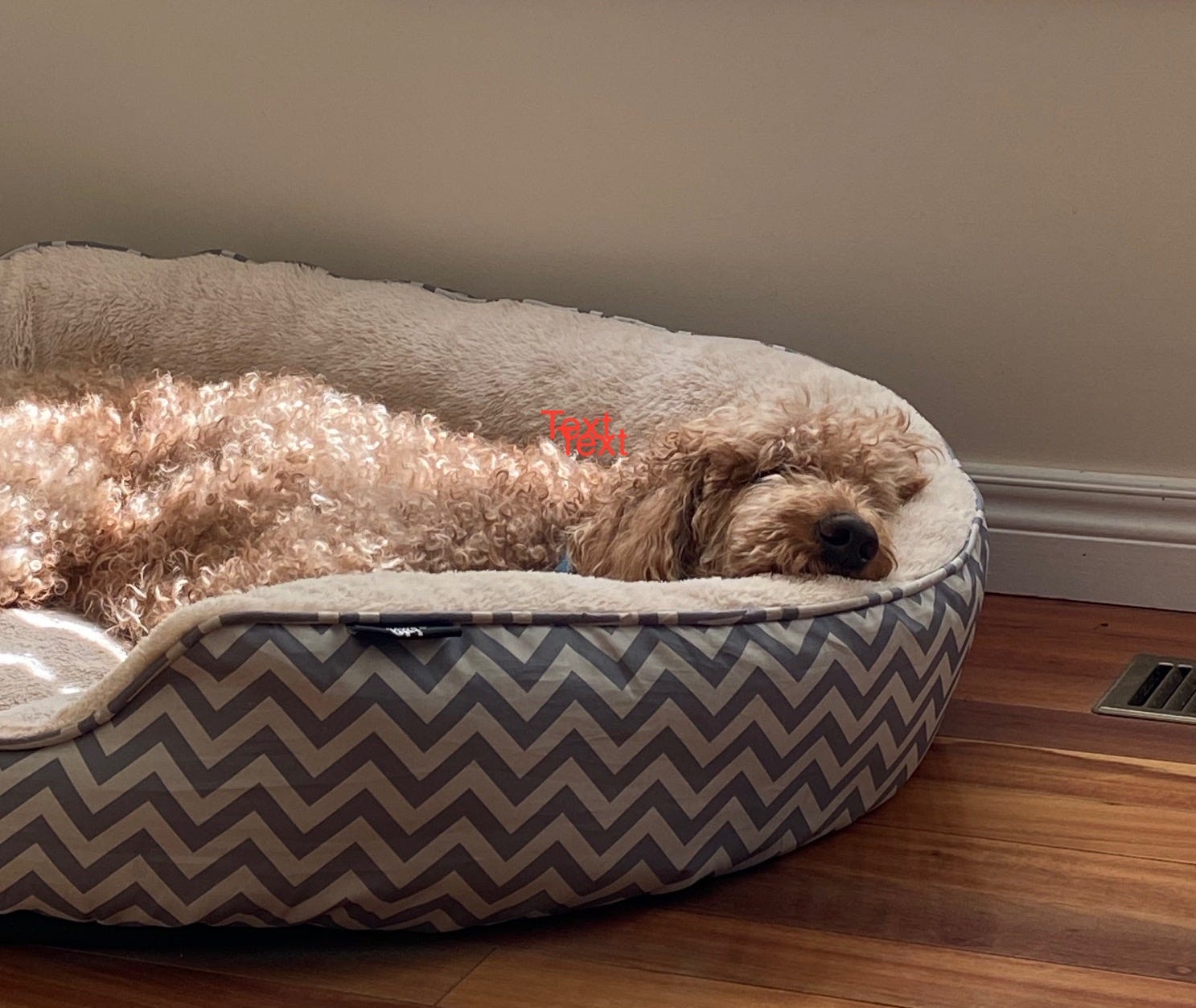 Alex Medium alex-medium