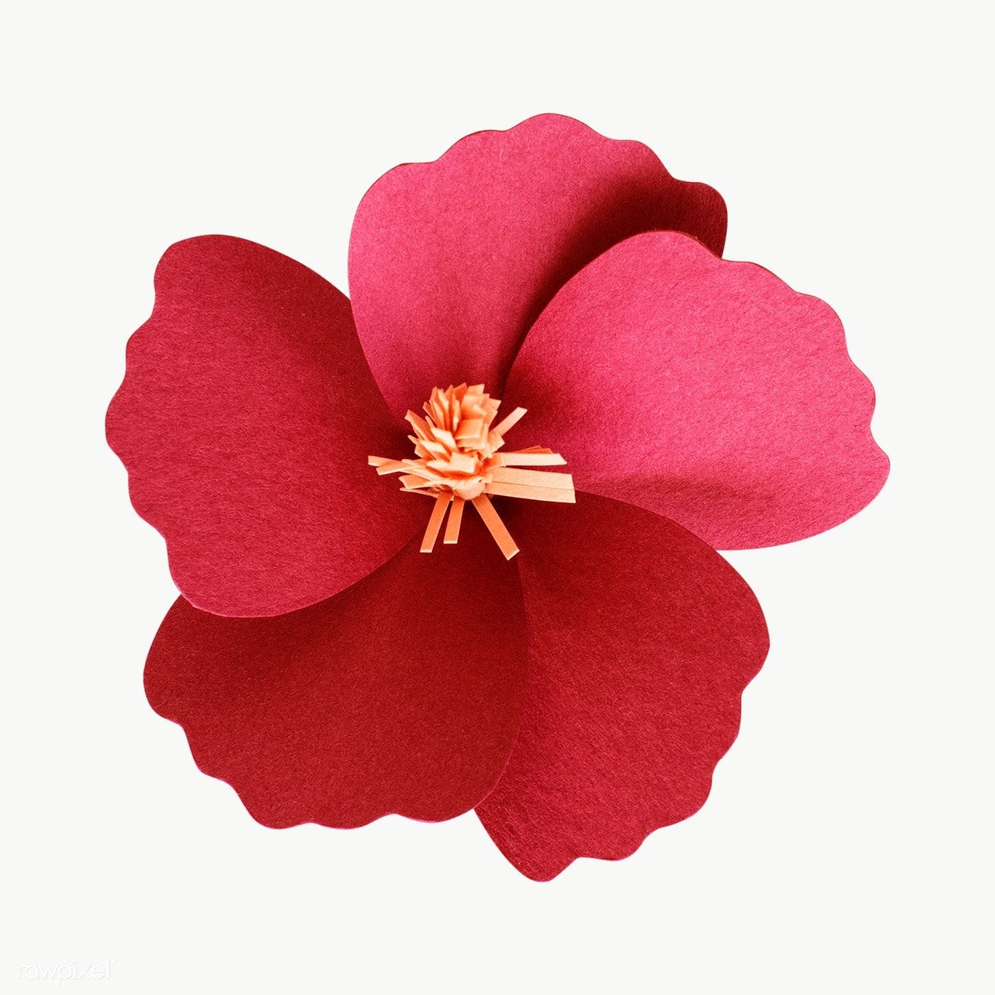 Sobia Bhat Medium sobia-bhat-medium