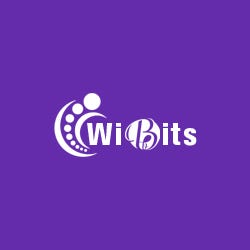 Wibits Web Solutions Llp Medium