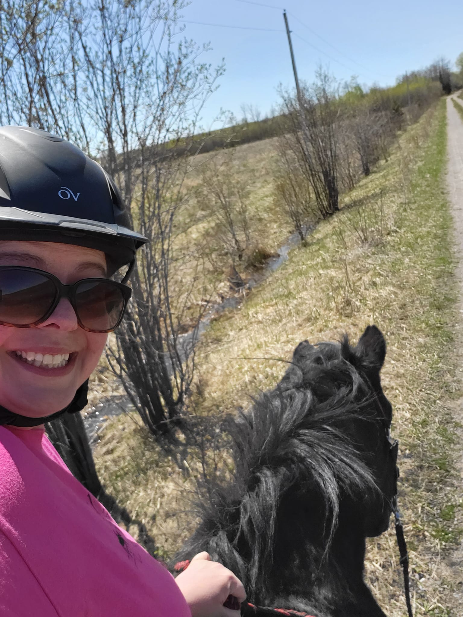 Erica Field on Medium curated some lists