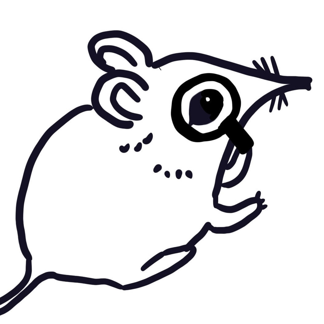 Quancy Shrew Inquisitive Investigator Medium Quancy shrew inquisitive investigator medium