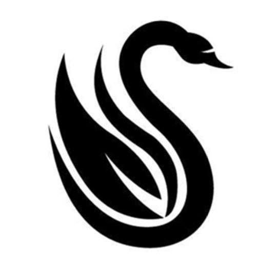 About Black Swan Medium