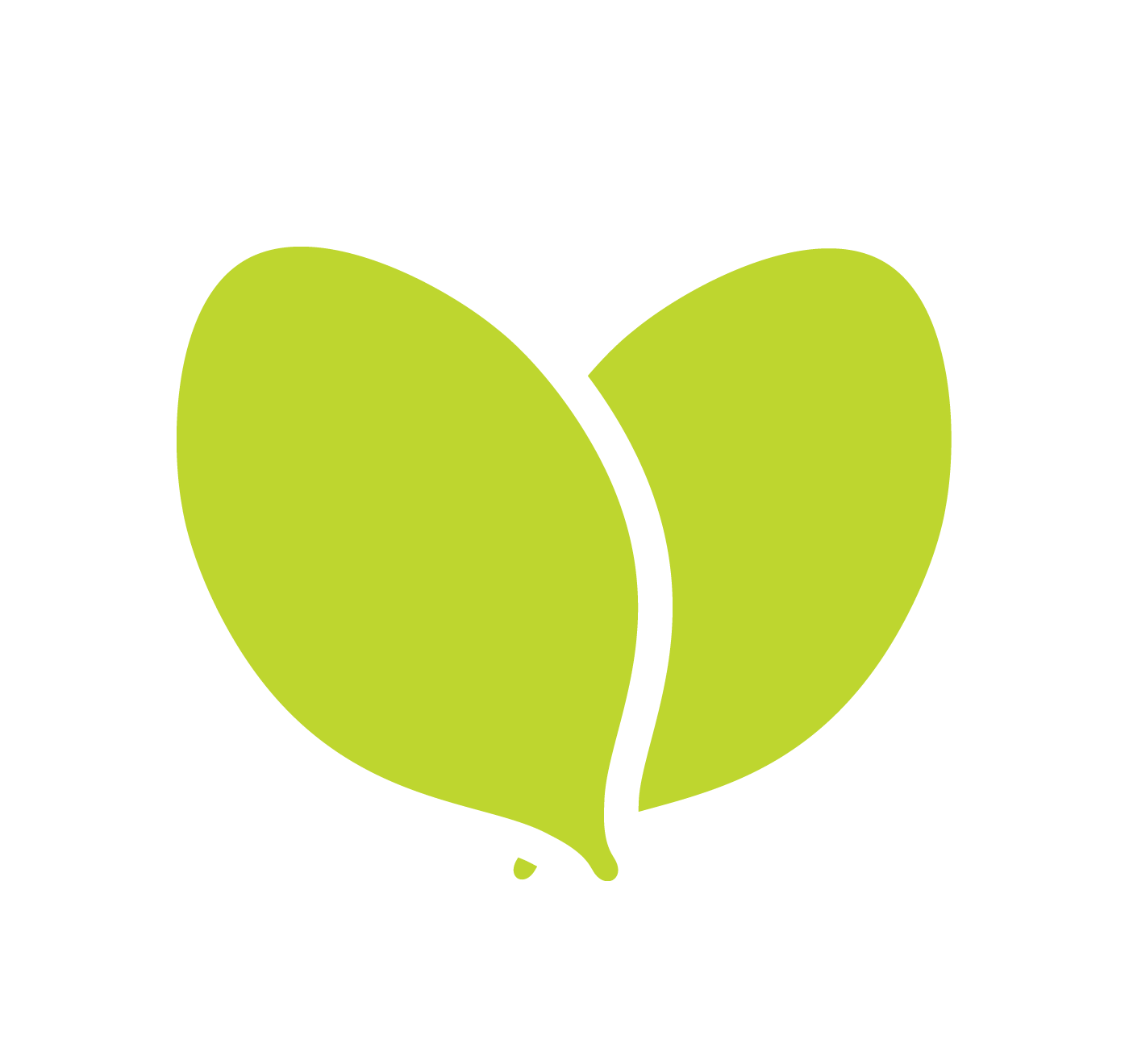 Zesty Medium