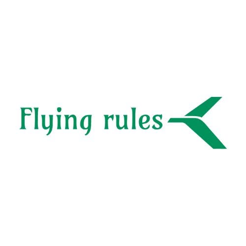 flying-rules-medium