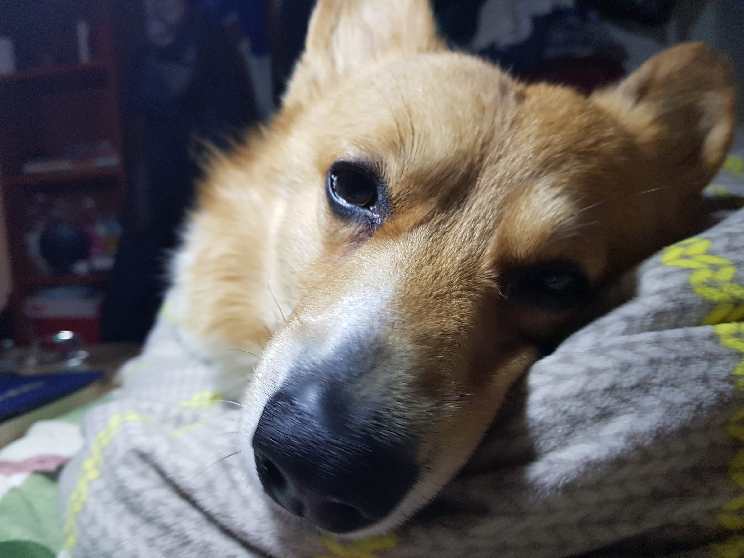 Tien Nguyen on Medium curated some lists