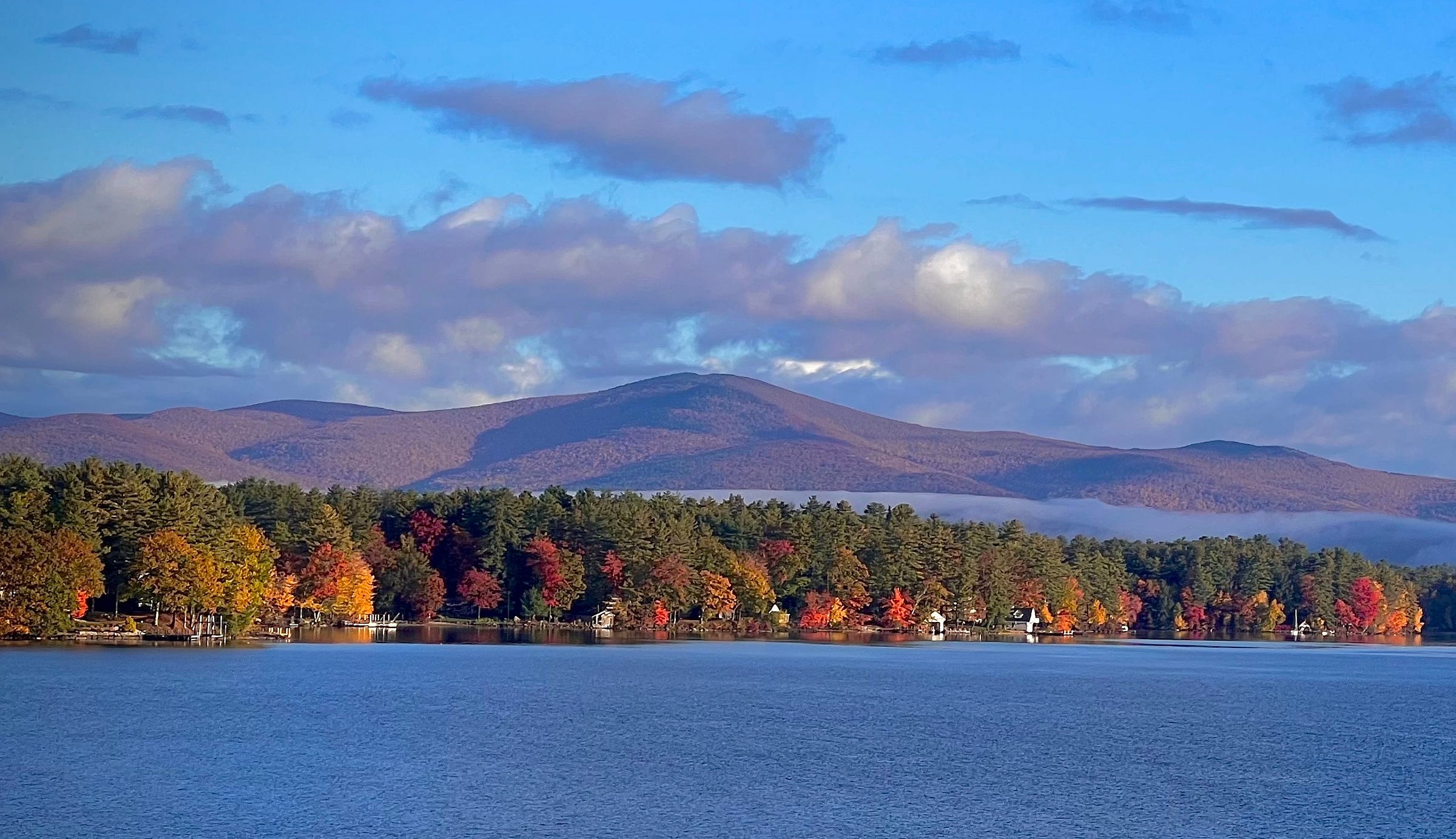 Jackson Slater Medium