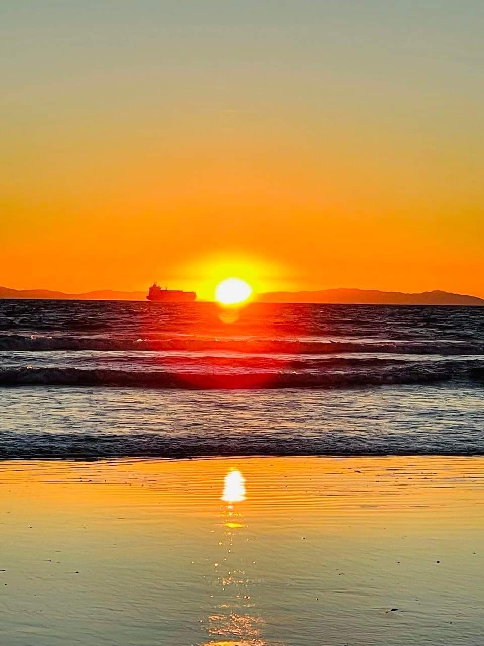 Veronica Franco Medium