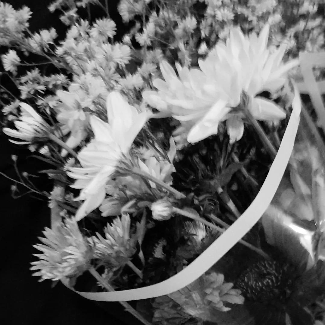 Jipaau Medium jipaau-medium